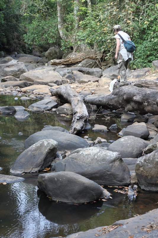 India 2010 - Coorg - Honey Valley - Trek to the Swimming Hole